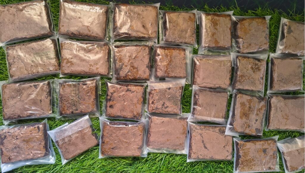 whatsapp image 2025 08 15 at 9.31.30 am